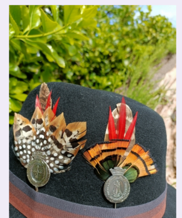 Alfiler con Plumas para Sombrero o Broche